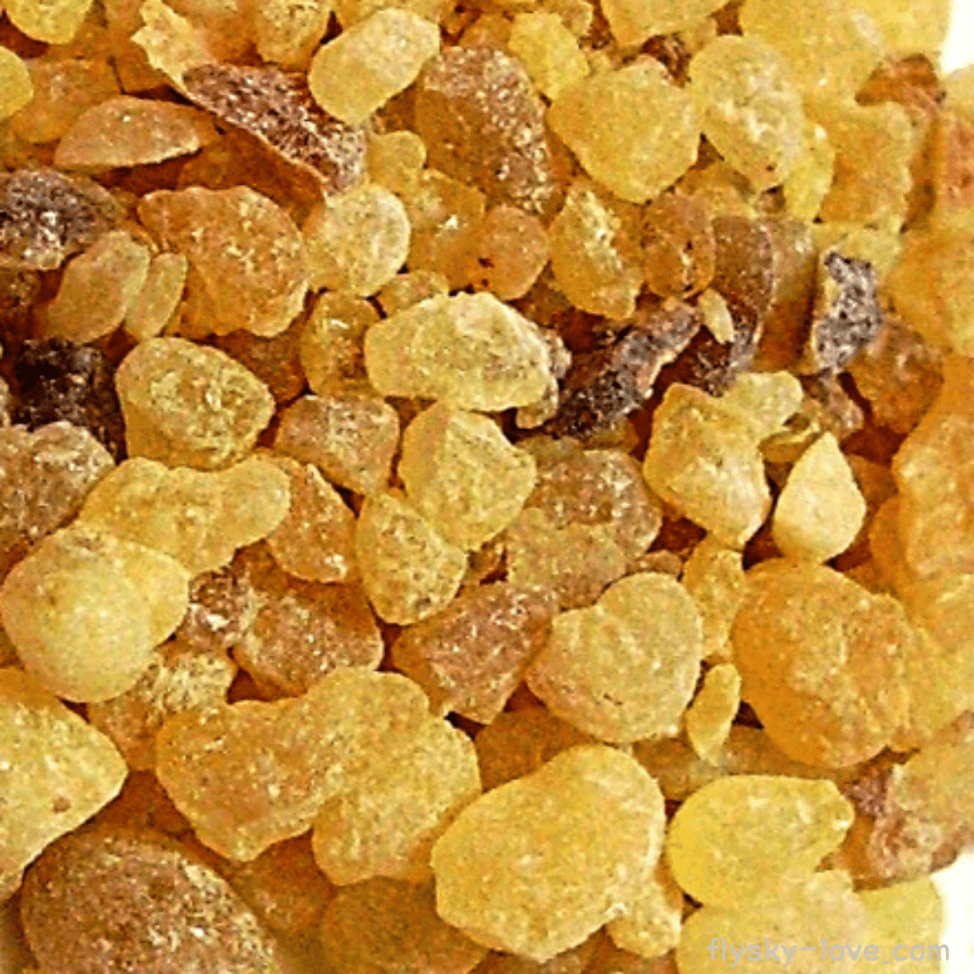 프랑킨센스 (Frankincense)