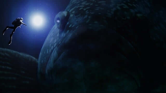 심해 생물 7종의 세계