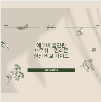 에코버 올인원 프로쉬 그린레몬 실전 비교 가이드