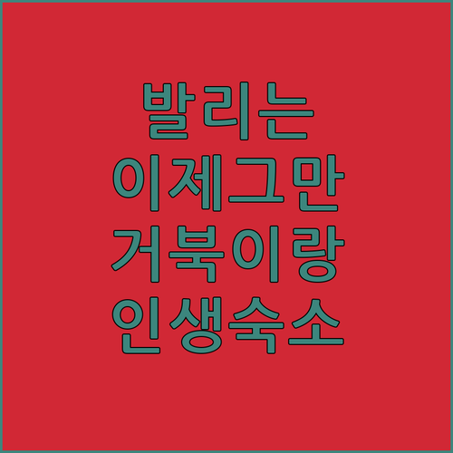 아직도 발리만 가시나요 롬복 길리 메..