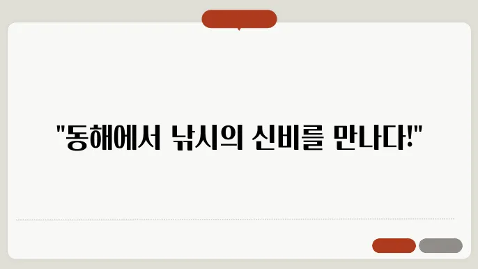 동해 바다낚시