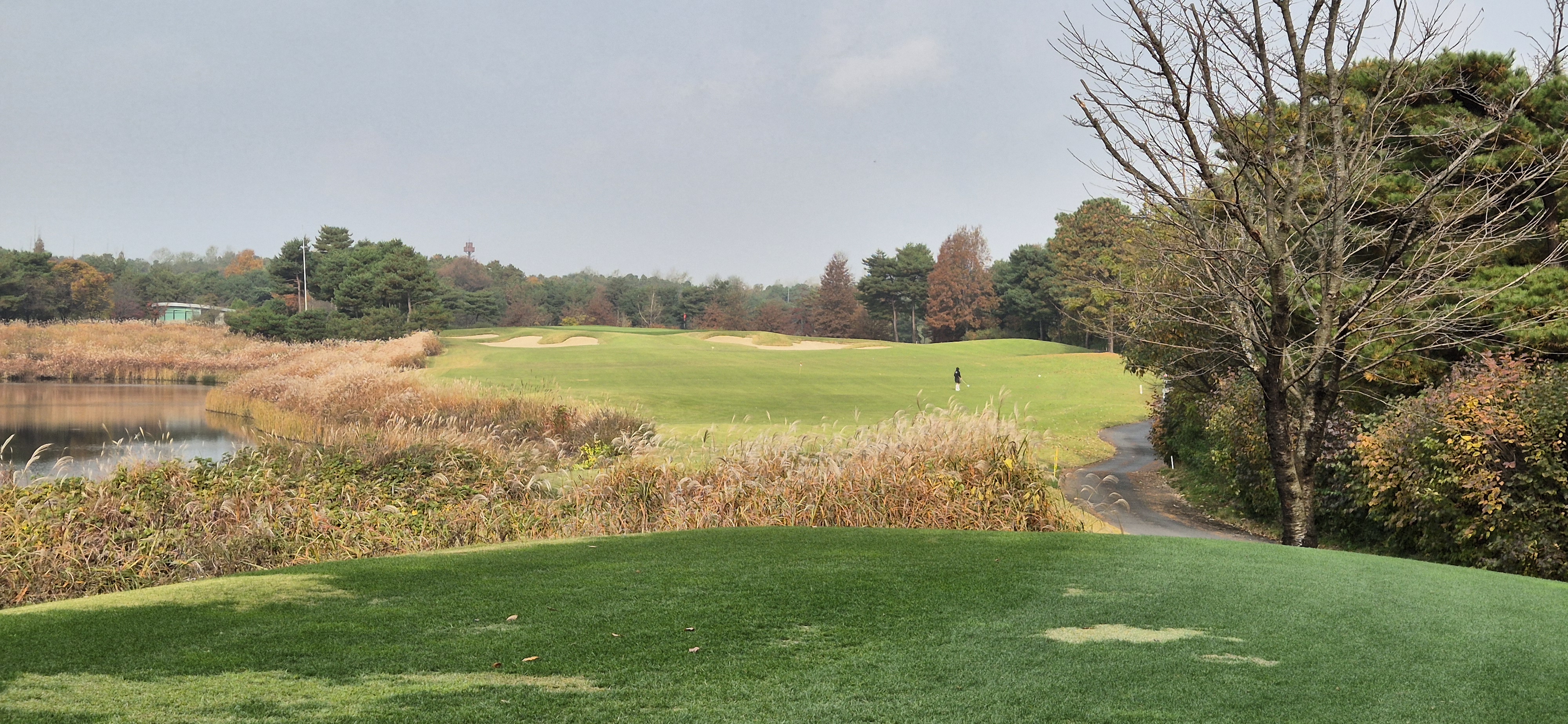 마이다스레이크 이천cc 올림푸스 코스 사진 및 공략 정보