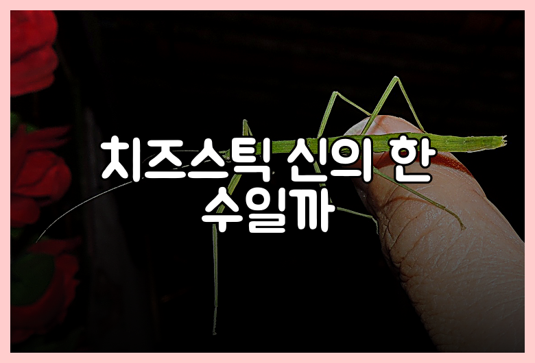 치즈스틱 신의 한 수일까