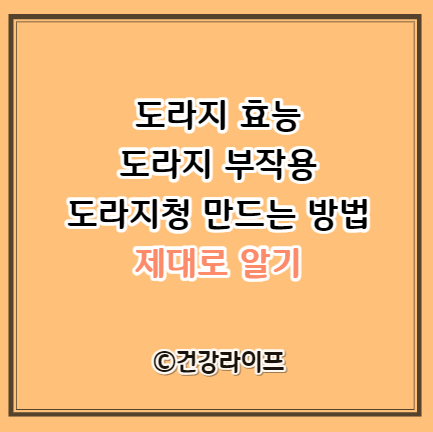 도라지 효능, 도라지 부작용, 도라지청 만드는 방법