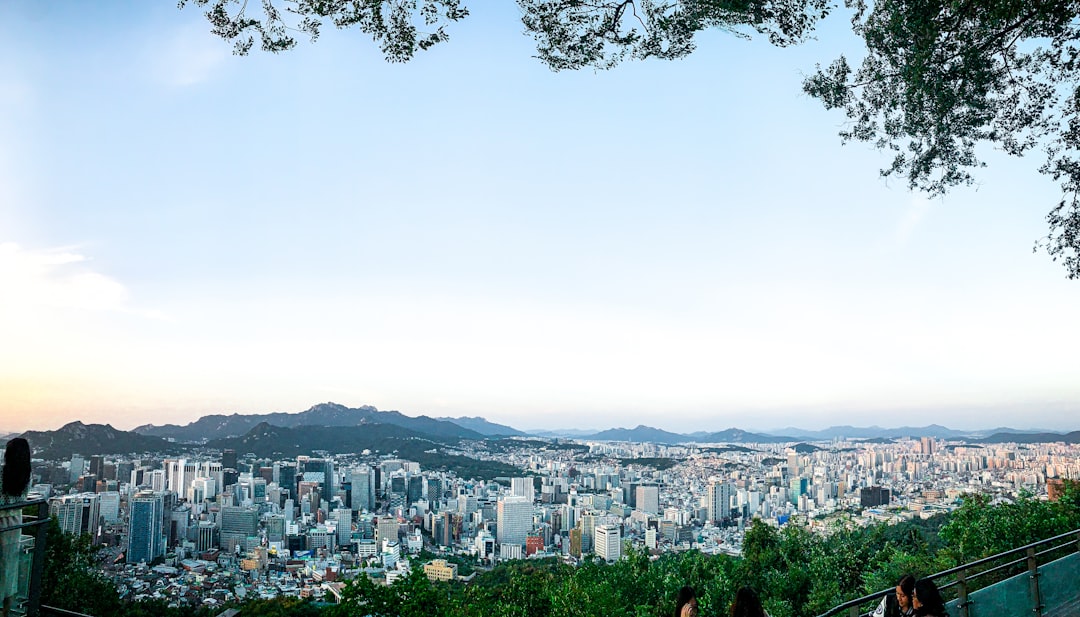 Seoul Pay