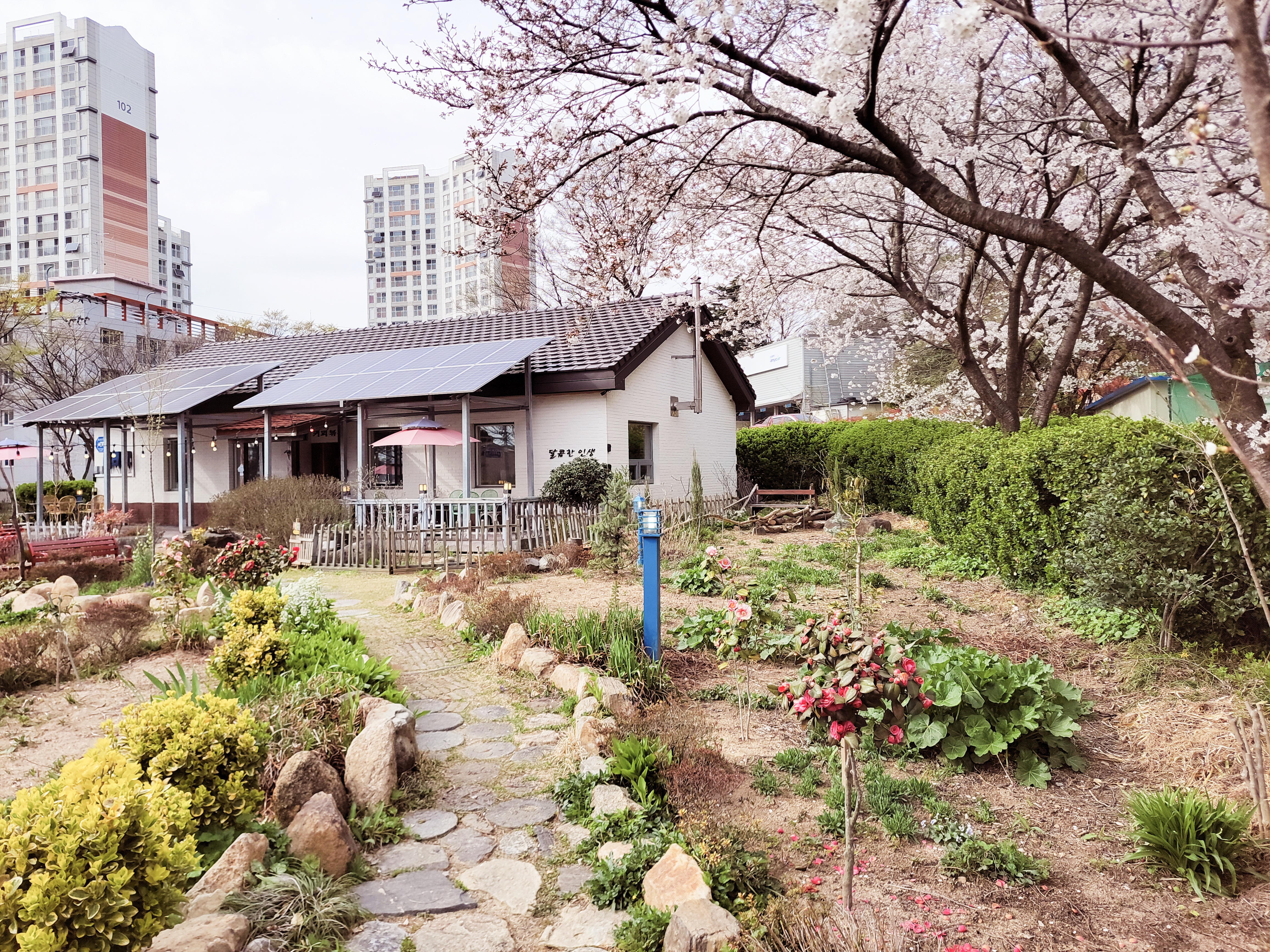 달콤한 인생