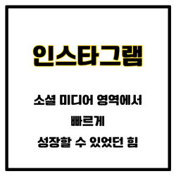 인스타그램 소셜 미디어 영역에서 빠르게 성장할 수 있었던 힘