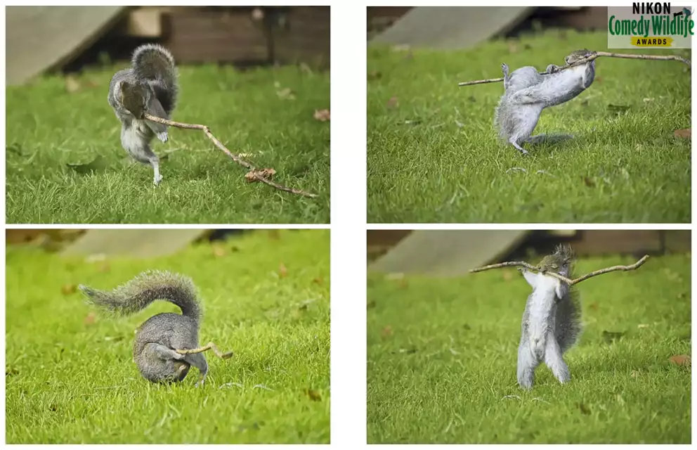 인터넷 어워드상