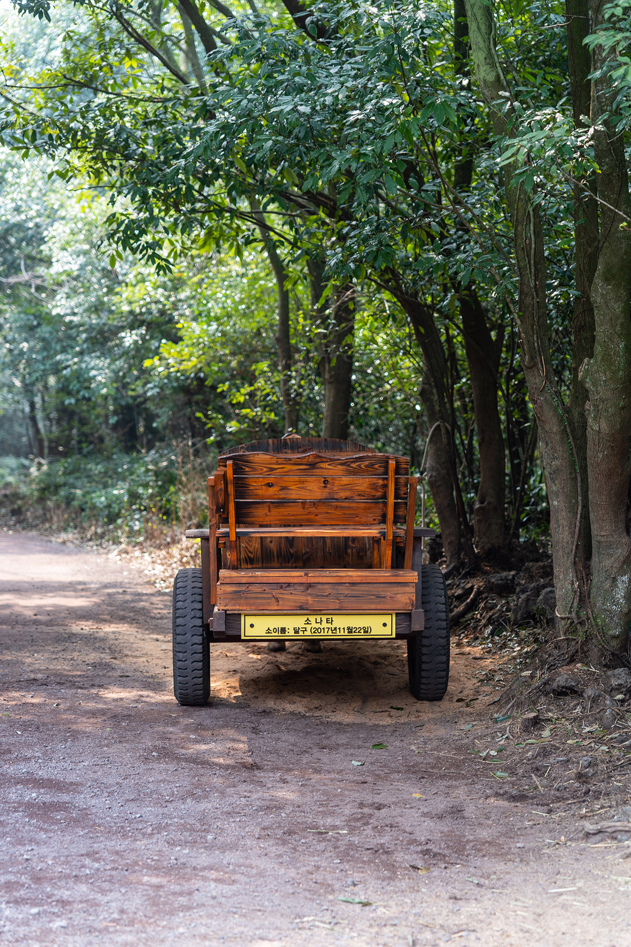 산양큰엉곶(산양곶자왈) 달구지 체험장