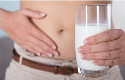 다이어트보조제-추천-성분