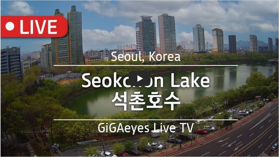 석촌호수 벚꽃 실시간 중계