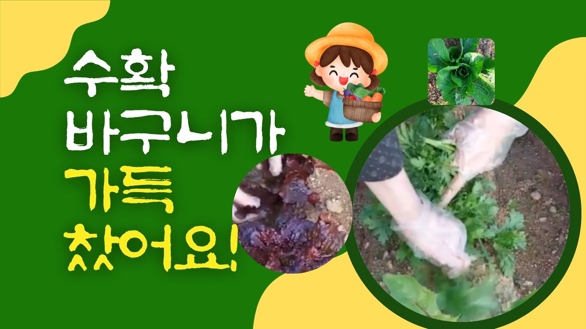 수확 바구니가 가득 찼어요