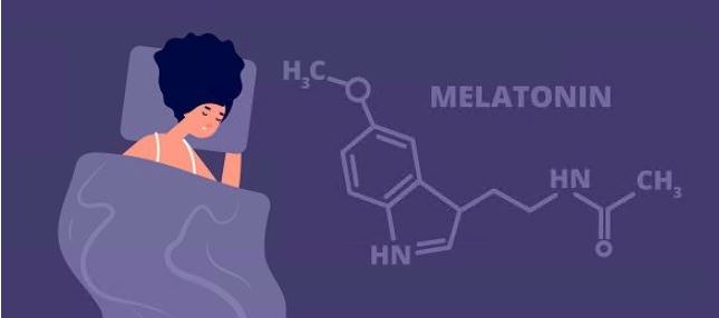 멜라토닌-효능