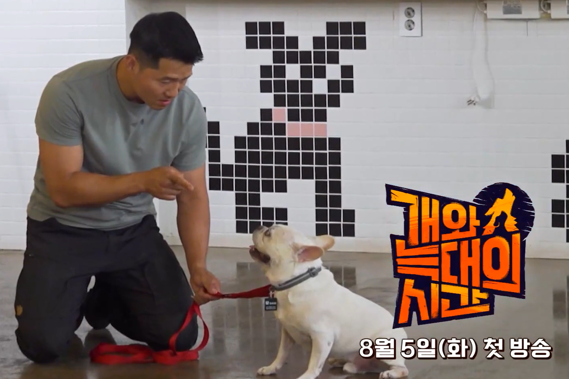 개와 늑대의 시간