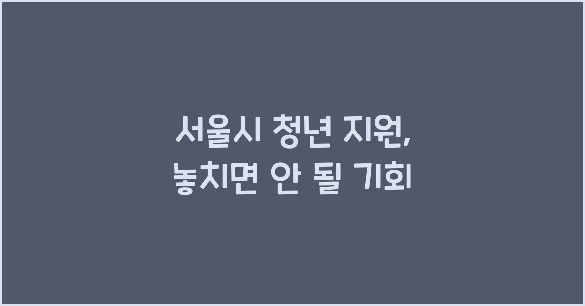 서울시 청년 지원