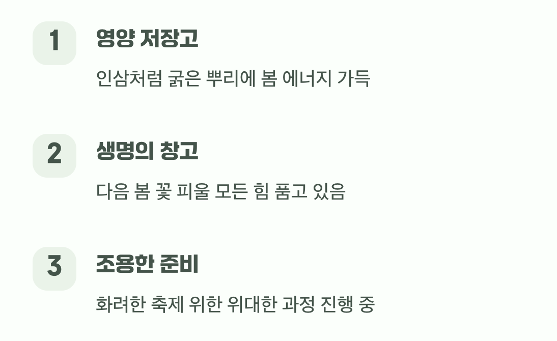 땅속에서는 무슨 일이?