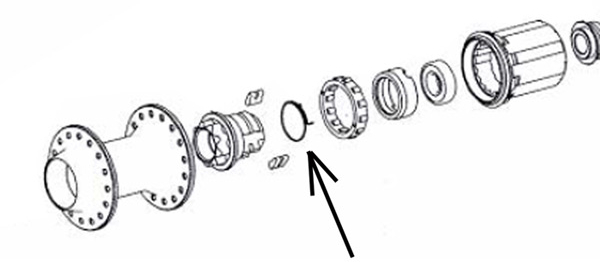 디티스위스 허브의 스프링 위치