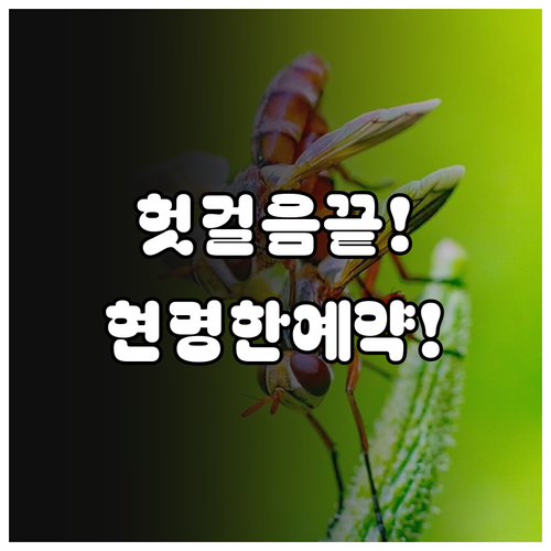 헛걸음 없이 엔진오일 교체 예약하는 ..