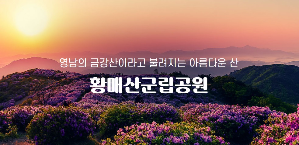 황매산 억새축제