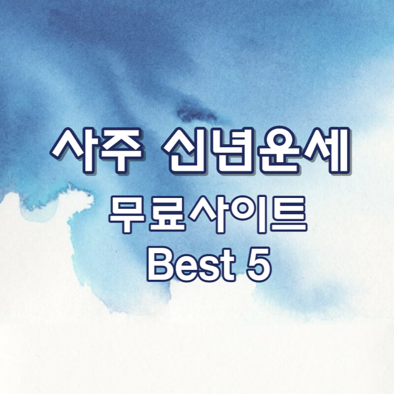 사주 신년 운세 무료 사이트