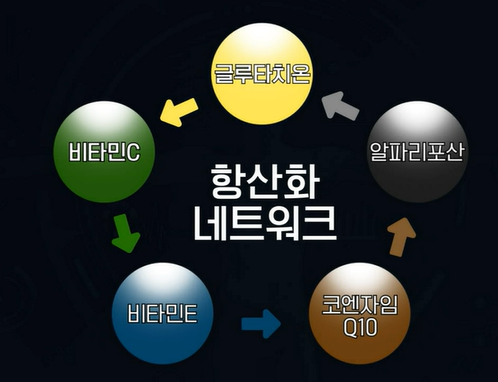 글루타치온 효능