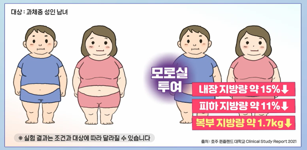 모로실 효능