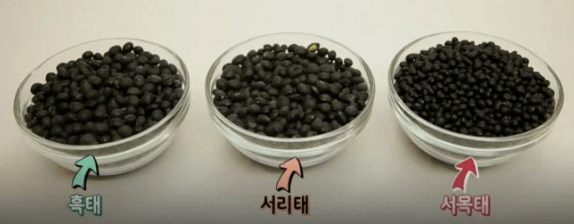 검은콩 종류