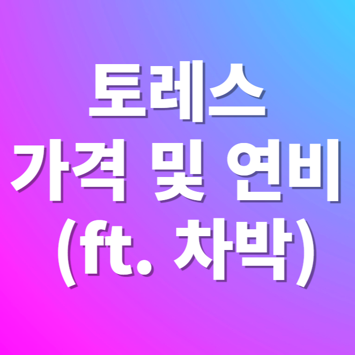 토레스 가격 및 연비 (ft. 차박)