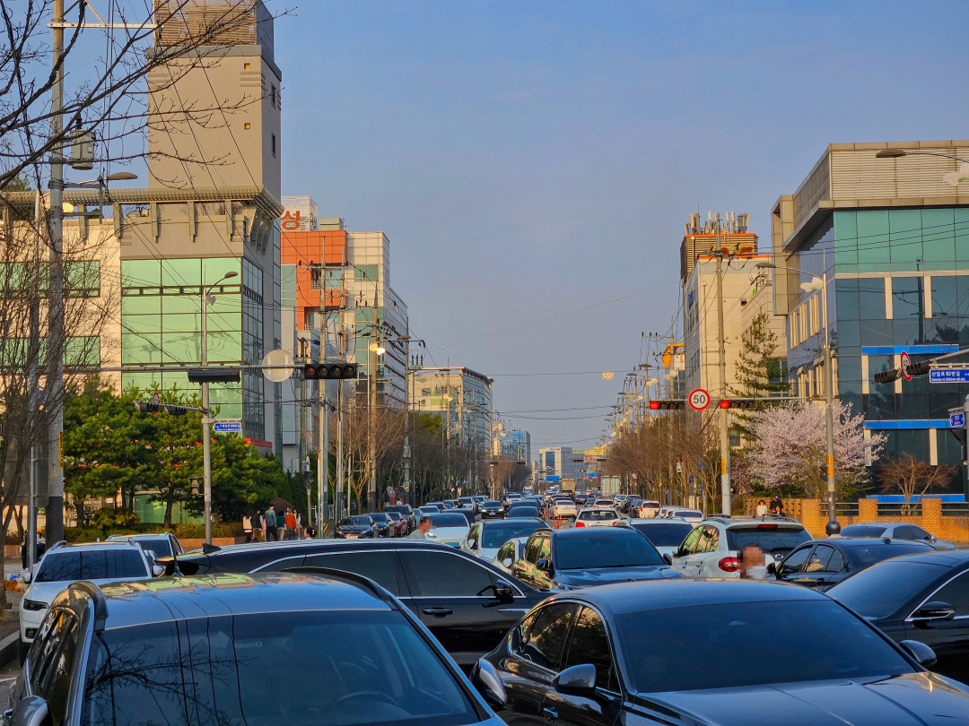 황구지천 벚꽃 주차