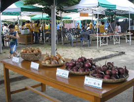 2025 월악산 송계 양파축제 가이드: 제천 한수공원에서 만나는 양파의 향연