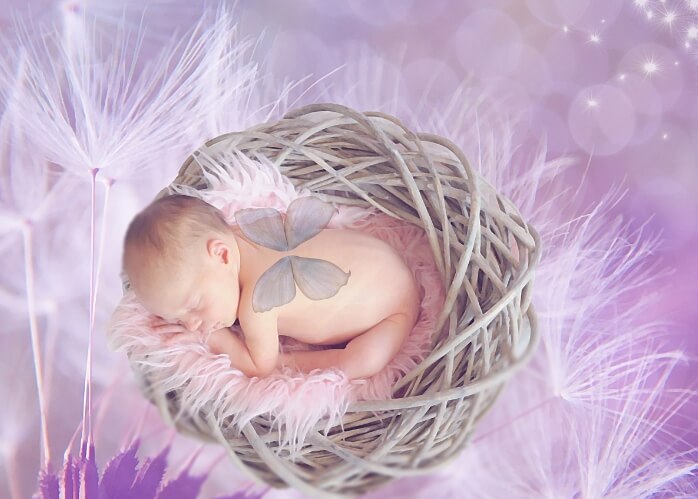 신생아 태아보험