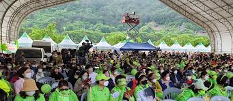 제 27회 야생차 문화축제 기본정보와 프로그램 정보 소개