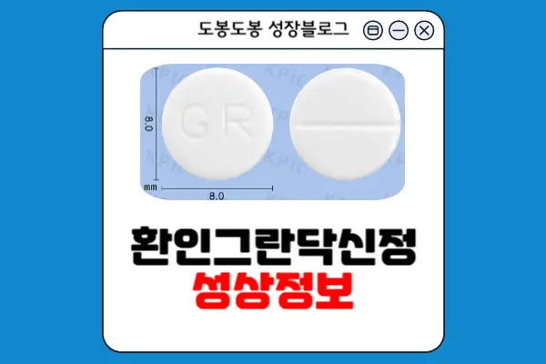 환인그란닥신정 성상정보 이미지
