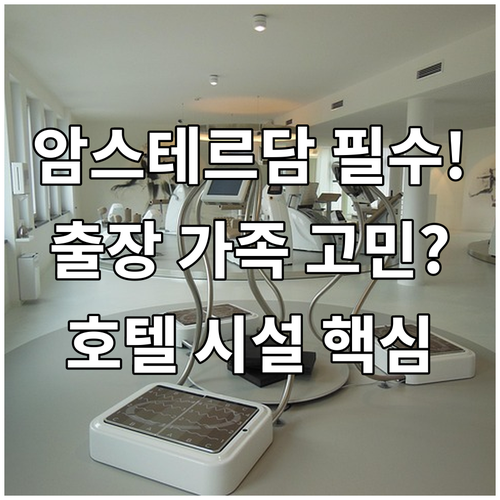 암스테르담 스키폴 자위트 6곳 출장 ..