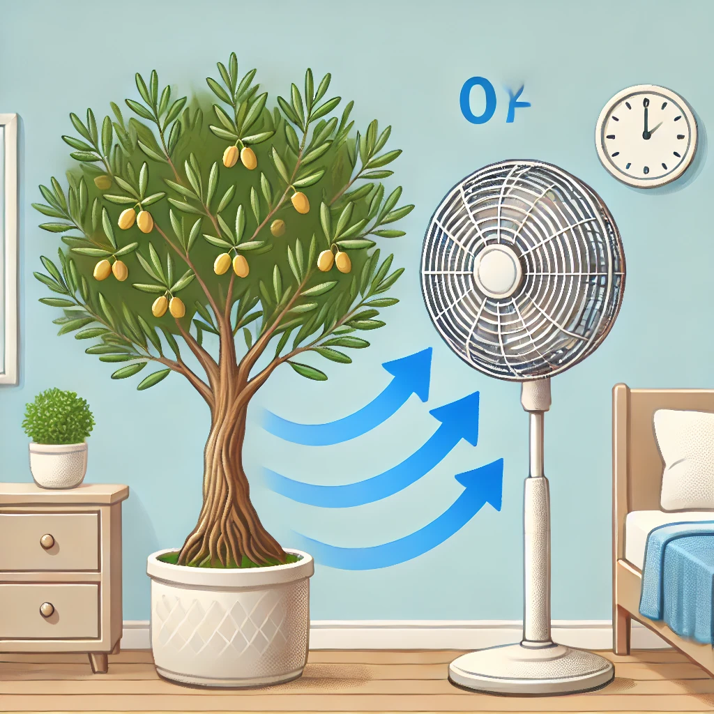 올리브 나무 통풍