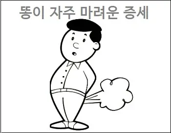 똥이 자주 마려운 증세