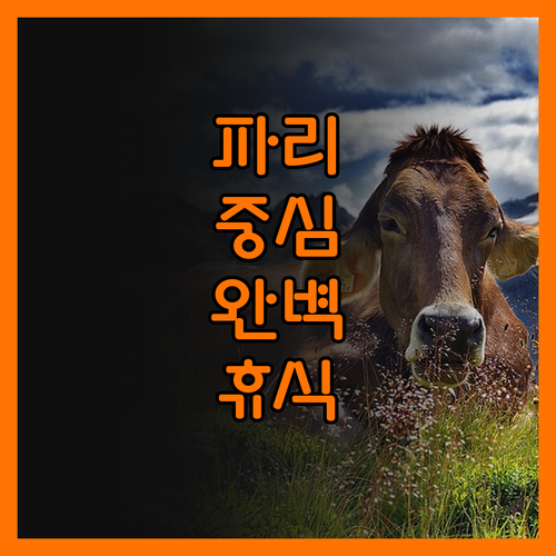파리 중심에서의 완벽한 휴식 호텔 비