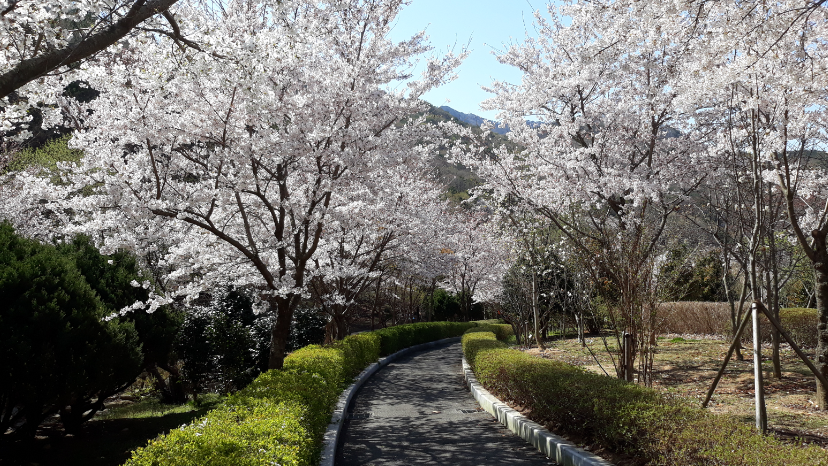 화명수목원