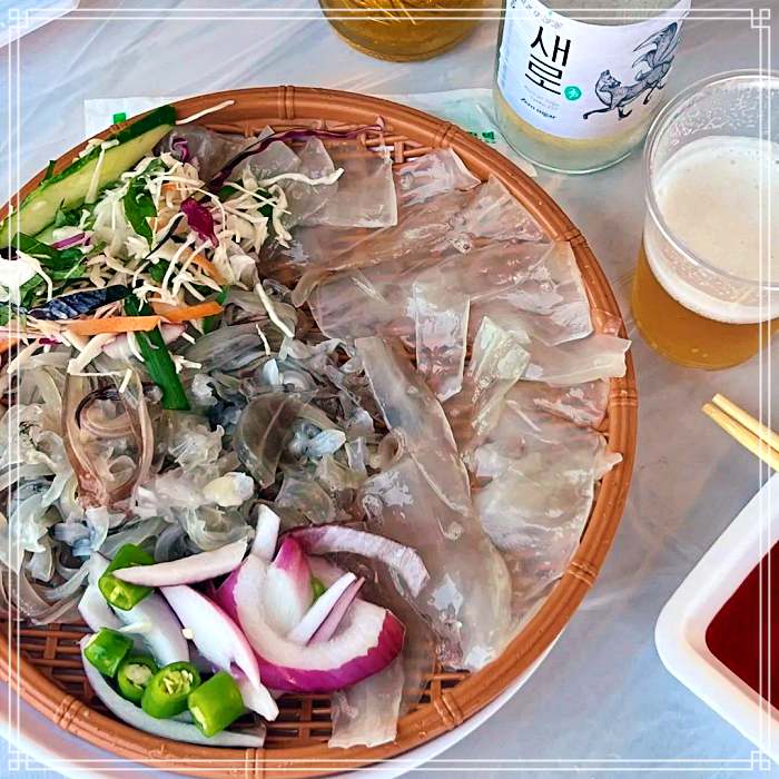 생생정보 속초 동명항 오징어난전, 오징어회, 오징어통찜, 오징어물회 맛집