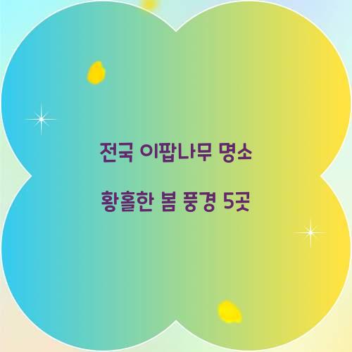 전국 이팝나무 명소