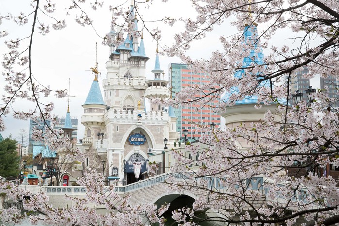 3월 국내 여행지 추천