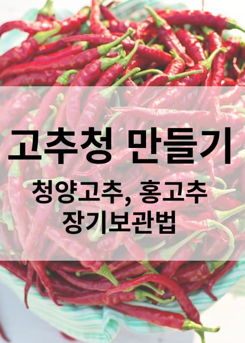 고추청만들기편스토랑이정현