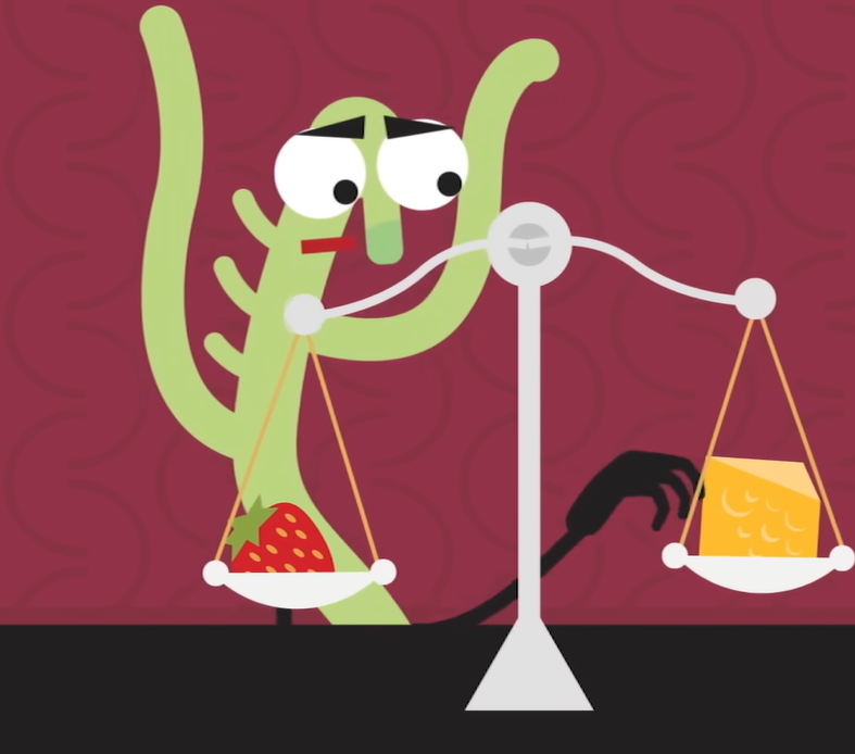 마이크로 바이옴이란