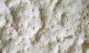 맥주효모의 효능