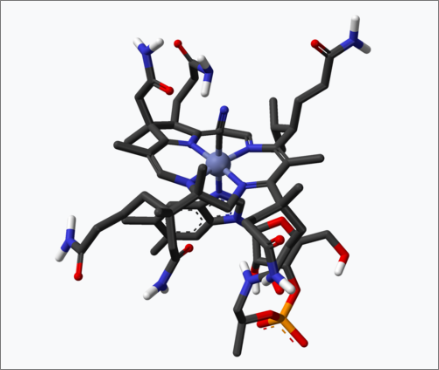 시아노코발라민 분자모형