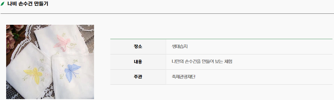 함평 나비 축제21