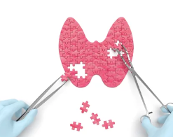 갑상선기능저하증/출처:어도비스톡