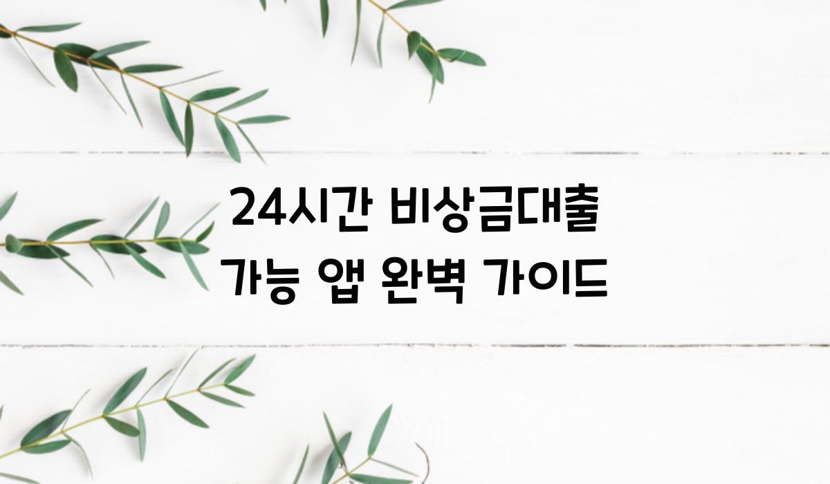 24시간 비상금대출 가능 앱