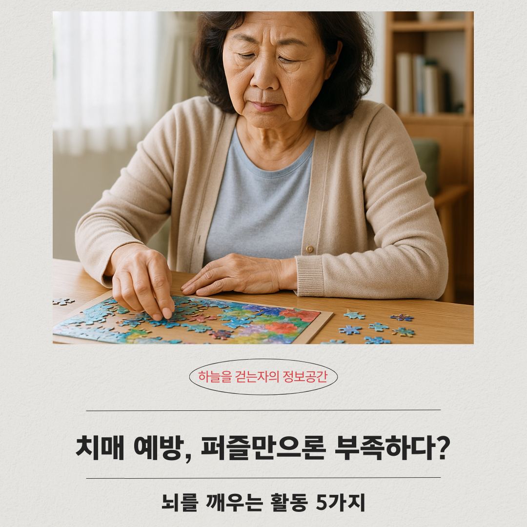 치매 예방, 퍼즐만으론 부족하다? 뇌를 깨우는 활동 5가지