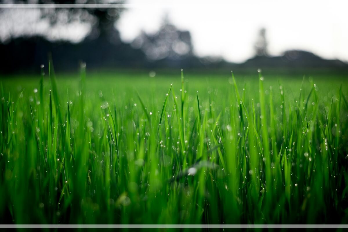 40대 새로운 커리어 (온라인강사, 상담, 1인기업) 관련사진